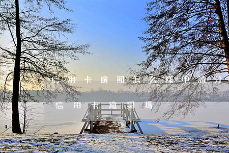 信用卡逾期怎么樣申請分期(分期卡逾期屬于信用卡逾期嗎)