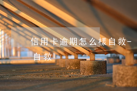 信用卡逾期怎么樣自救-信用卡逾期怎么樣自救