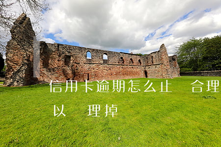 信用卡逾期怎么止損合理(信用卡逾期怎么可以處理掉)