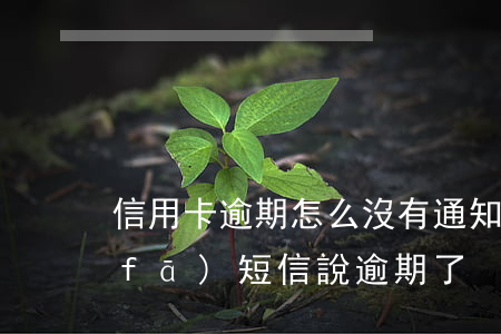 信用卡逾期怎么沒有通知(信用卡沒逾期發(fā)短信說逾期了)