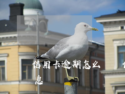信用卡逾期怎么沖減(信用卡逾期怎么沖減利息)