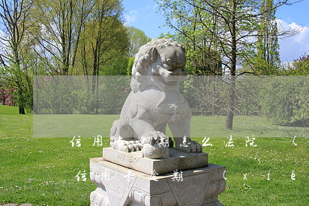 信用卡逾期怎么法院協(xié)商 為什么信用卡逾期協(xié)商不了