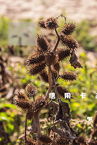 信用卡逾期怎么消除征信逾期記錄(征信逾期記錄怎么能消除)