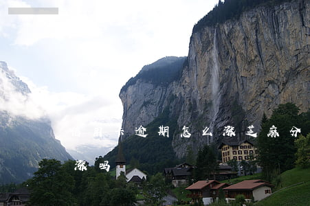 信用卡逾期怎么涨芝麻分(绑定信用卡芝麻分涨吗)
