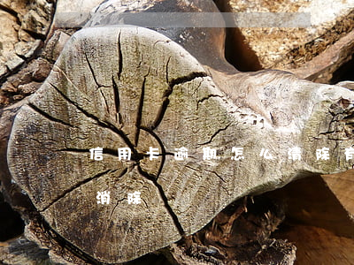 信用卡逾期怎么清除(有信用卡逾期記錄怎么消除)