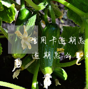 信用卡逾期怎么減免利息和違約金-信用卡逾期怎么減免利息和違約金我愛卡