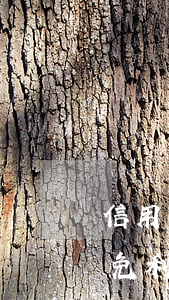 信用卡逾期怎么減免本金(逾期還信用卡可以免利息嗎)