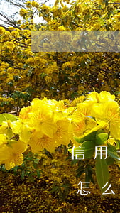 信用卡逾期怎么減免滯納金(欠信用卡滯納金怎么減免)