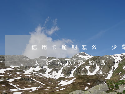 信用卡逾期怎么減少滯納金的(逾期了滯納金太多可以不給嗎)