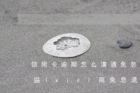 信用卡逾期怎么溝通免息(信用卡逾期多久能協(xié)商免息還款)