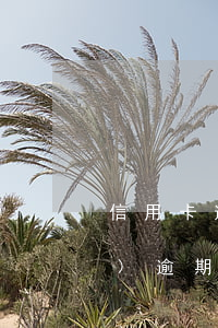 信用卡逾期怎么父母微信都被凍結(jié)(逾期微信被凍結(jié)怎么辦)