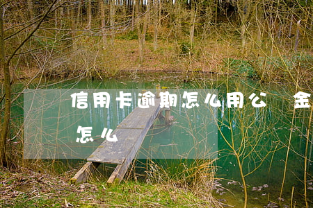 信用卡逾期怎么用公積金還(住房公積金逾期怎么還)