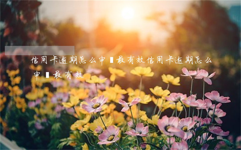 信用卡逾期怎么申訴最有效 信用卡逾期怎么申訴最有效