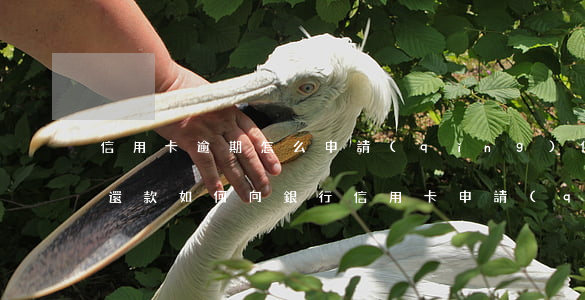 信用卡逾期怎么申請(qǐng)停息分期還款(如何向銀行信用卡申請(qǐng)停息分期)