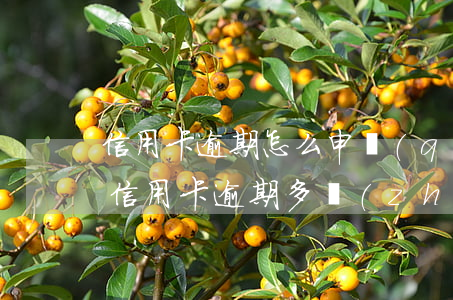 信用卡逾期怎么申請(qǐng)停息掛賬(信用卡逾期多長(zhǎng)時(shí)間可以申請(qǐng)停息掛賬)