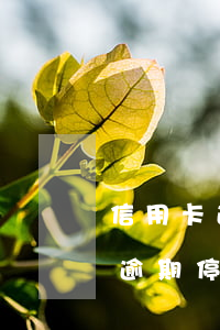 信用卡逾期怎么申請(qǐng)停息還款 逾期停用的信用卡怎么恢復(fù)