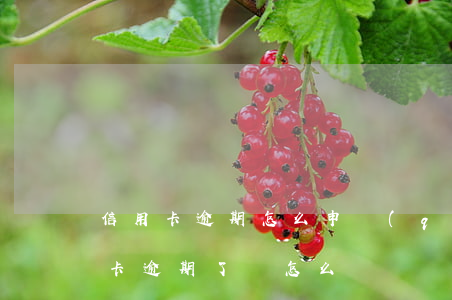 信用卡逾期怎么申請(qǐng)延期(信用卡逾期了該怎么辦)