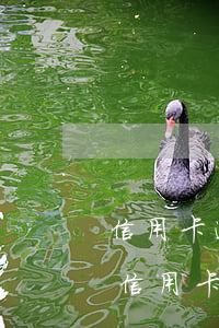 信用卡逾期怎么申請(qǐng)清除征信 信用卡逾期怎么申請(qǐng)清除征信