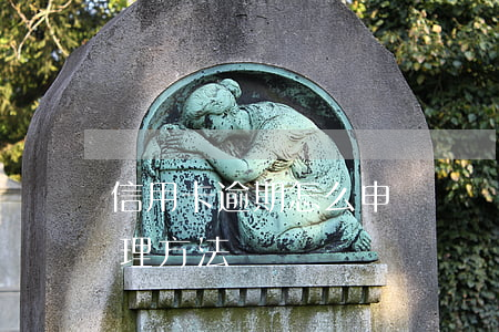 信用卡逾期怎么申請異議(信用卡逾期異議處理方法)