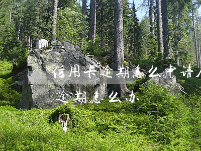 信用卡逾期怎么申请人行征信(征信有信用卡逾期怎么办)