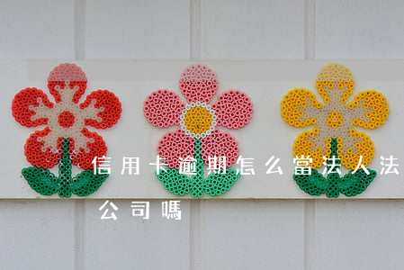信用卡逾期怎么當法人(法人欠信用卡會追究公司嗎?)