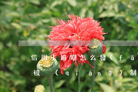 信用卡逾期怎么發(fā)現(xiàn)被強(qiáng)制執(zhí)行了(被申請(qǐng)強(qiáng)制執(zhí)行了,影響自己的信用卡嗎)