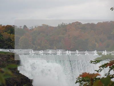 信用卡逾期怎么直接注銷