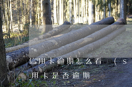 信用卡逾期怎么看時(shí)間(怎樣看信用卡是否逾期)