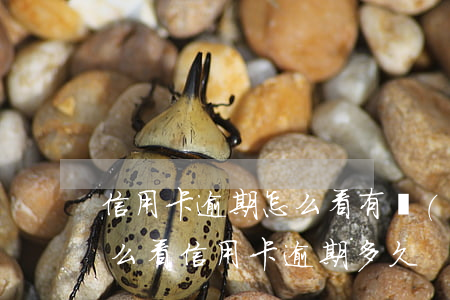 信用卡逾期怎么看有沒(méi)有封卡(怎么看信用卡逾期多久)