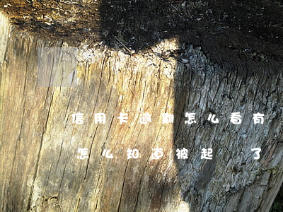 信用卡逾期怎么看有沒有被起訴(信用卡逾期怎么知道被起訴了)