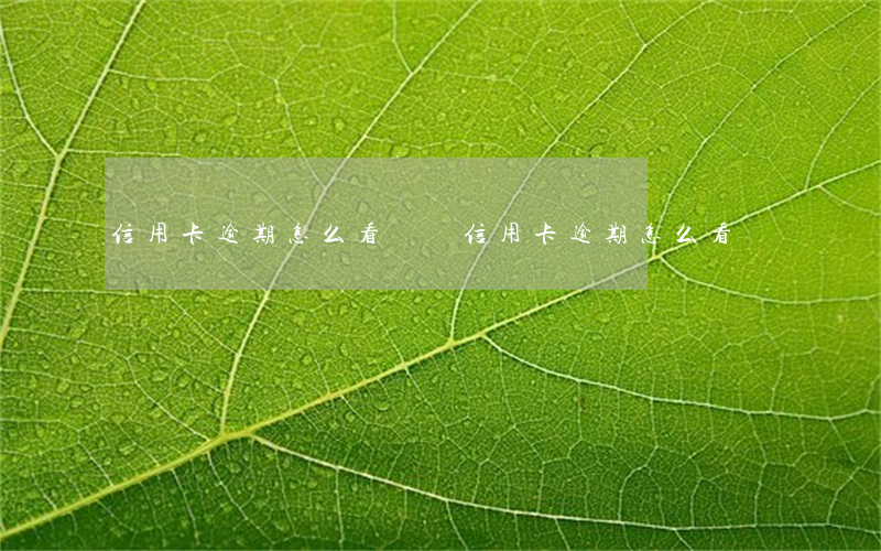 信用卡逾期怎么看賬單(信用卡逾期怎么看賬單)