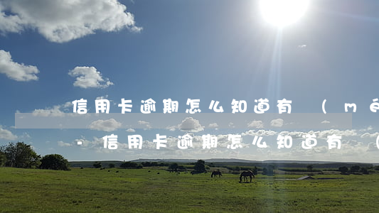 信用卡逾期怎么知道有沒(méi)有立案-信用卡逾期怎么知道有沒(méi)有立案成功
