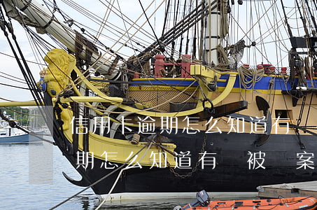 信用卡逾期怎么知道有沒被報案-信用卡逾期怎么知道有沒被報案呢