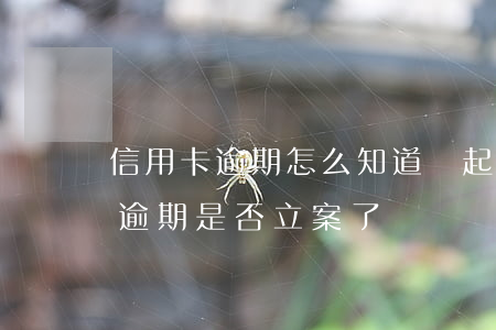 信用卡逾期怎么知道給起訴了(怎么查信用卡逾期是否立案了)