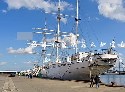 信用卡逾期怎么知道自己被上訴(欠信用卡怎樣知道自己有沒(méi)有被起訴)