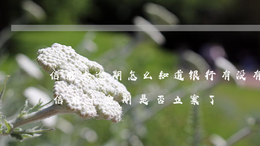 信用卡逾期怎么知道银行有没有起诉 怎么查信用卡逾期是否立案了