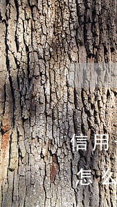 信用卡逾期怎么確定自己被起訴(信用卡逾期怎么確定自己被起訴)