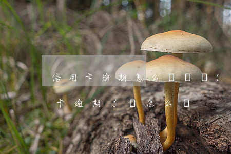 信用卡逾期怎么積極應(yīng)對(信用卡逾期了該怎么辦)