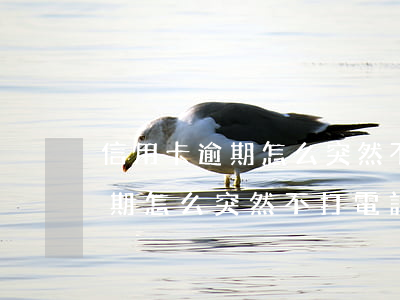 信用卡逾期怎么突然不打電話了-信用卡逾期怎么突然不打電話了呢
