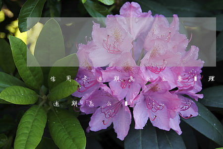 信用卡逾期怎么立案處理方法(所有的信用卡逾期怎么辦)
