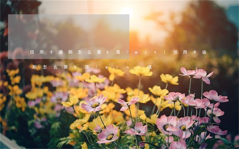 信用卡逾期怎么算5萬(wàn)(信用卡逾期怎么算5萬(wàn)塊)