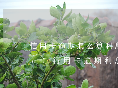 信用卡逾期怎么算利息10000廣發(fā)(行用卡逾期利息多少)