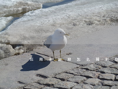 信用卡逾期怎么算利息 怎样算信用卡逾期