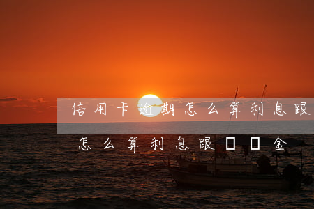 信用卡逾期怎么算利息跟滯納金(信用卡逾期怎么算利息跟滯納金)