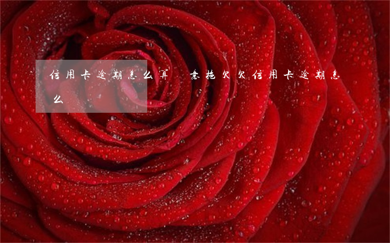 信用卡逾期怎么算惡意拖欠(欠信用卡逾期怎么辦)