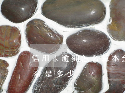 信用卡逾期怎么算本金(信用卡逾期怎么算本金是多少)