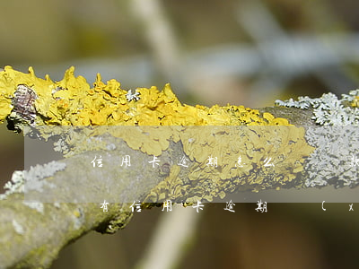 信用卡逾期怎么簽還款協(xié)議(有沒有信用卡逾期協(xié)商還本金成功了的)