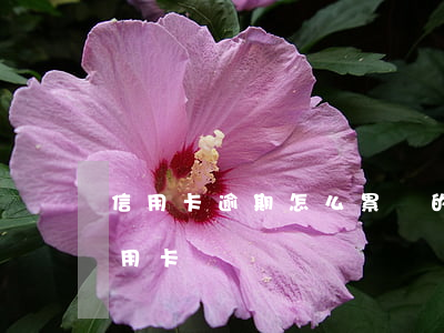 信用卡逾期怎么累積的(有逾期記錄怎么辦信用卡)