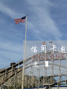 信用卡逾期怎么給孩交保險(保險逾期了怎么交費)