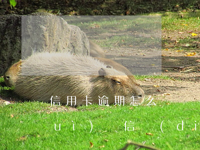 信用卡逾期怎么給銀監(jiān)會(huì)寫信調(diào)解-信用卡逾期怎么給銀監(jiān)會(huì)寫信調(diào)解書